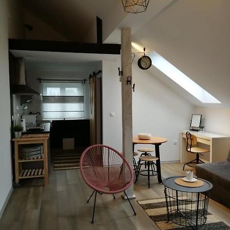 Ferienwohnung Studio Apartman Hana Drežnik Grad Exterior foto