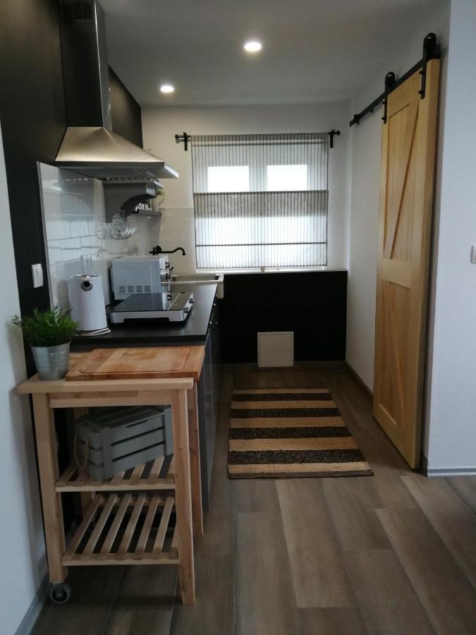 Ferienwohnung Studio Apartman Hana Drežnik Grad Exterior foto