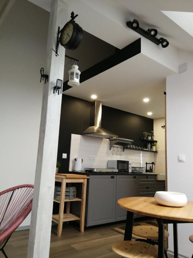 Ferienwohnung Studio Apartman Hana Drežnik Grad Exterior foto