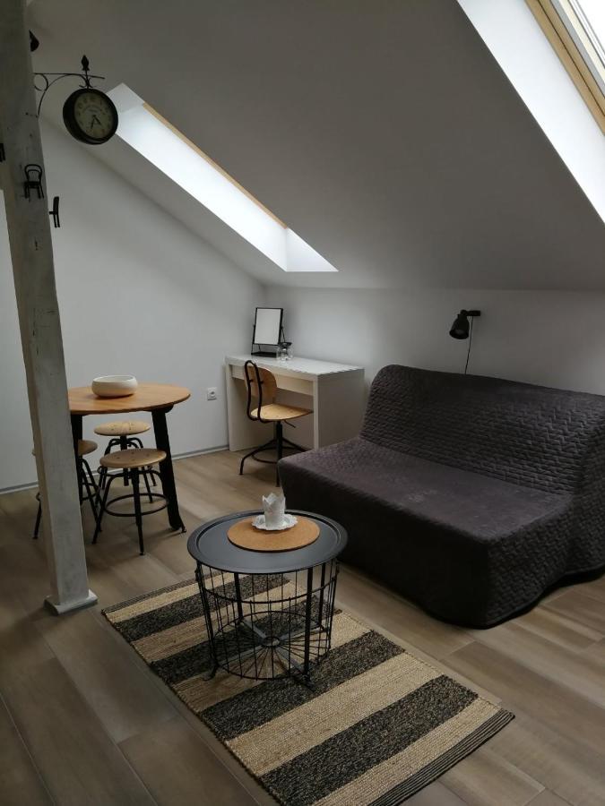 Ferienwohnung Studio Apartman Hana Drežnik Grad Exterior foto