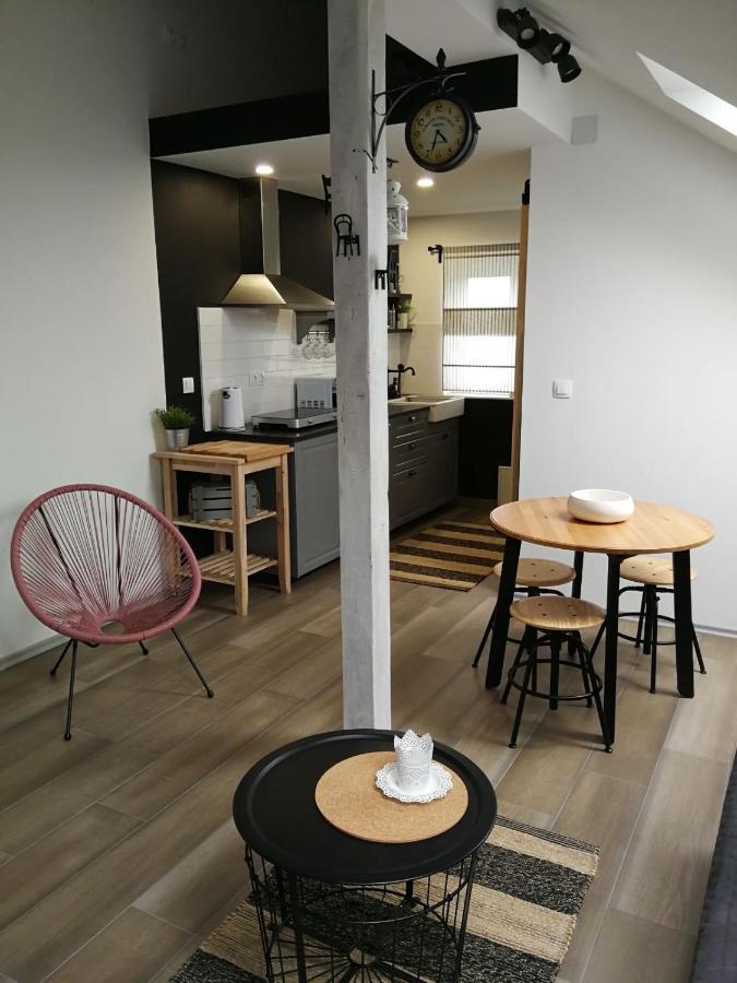 Ferienwohnung Studio Apartman Hana Drežnik Grad Exterior foto