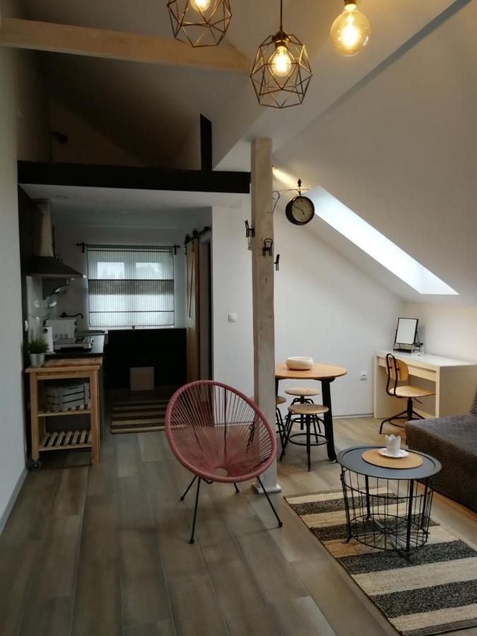 Ferienwohnung Studio Apartman Hana Drežnik Grad Exterior foto