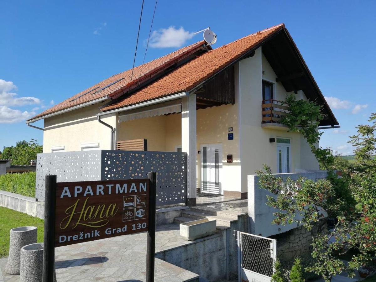 Ferienwohnung Studio Apartman Hana Drežnik Grad Exterior foto