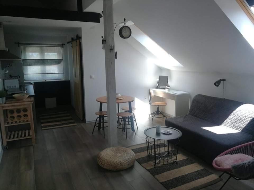 Ferienwohnung Studio Apartman Hana Drežnik Grad Exterior foto