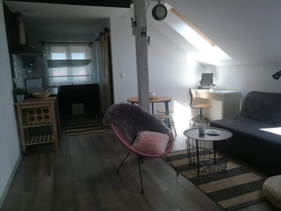 Ferienwohnung Studio Apartman Hana Drežnik Grad Exterior foto
