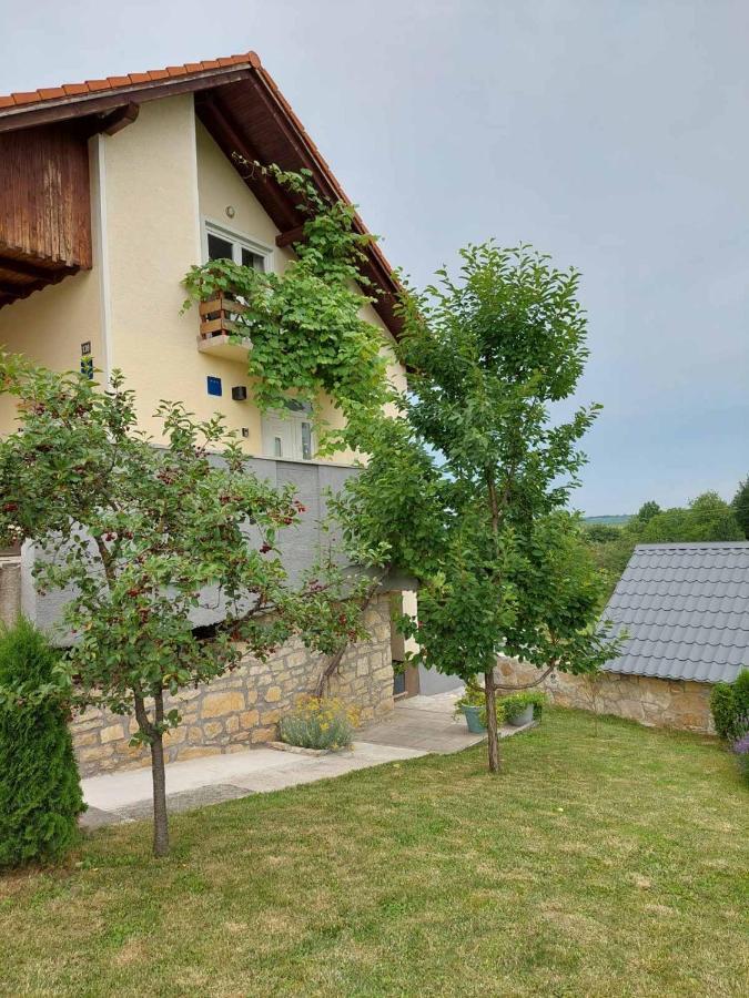 Ferienwohnung Studio Apartman Hana Drežnik Grad Exterior foto